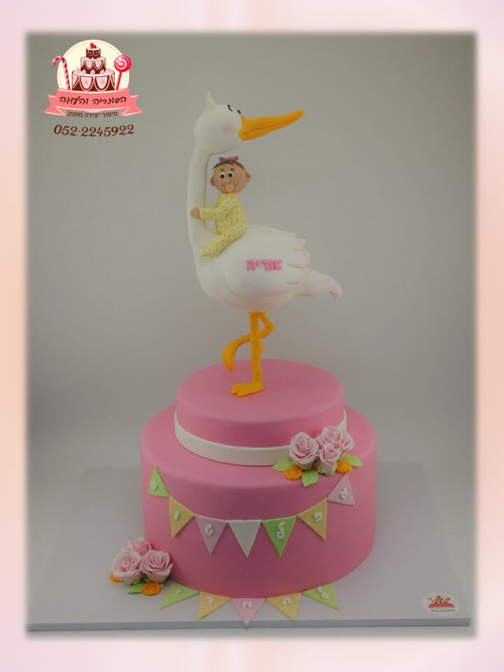 עוגת בצק סוכר לבריתה, עיצוב של חסידה ותינוקת ורודה - דורית יחיאל